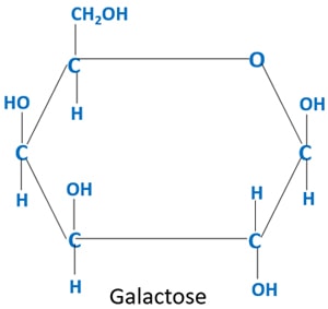 galactose molecule